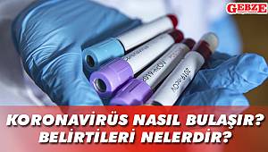 Koronavirüs nasıl bulaşır? Belirtileri nelerdir? 