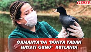 Ormanya'da 'Dünya yaban hayatı günü' kutlandı