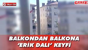 Böyle olur Gebzelinin karantinası