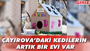 Çayırova’daki kedilerin artık bir evi var