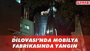 Dilovası'nda mobilya fabrikasında yangın