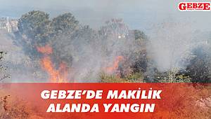 Gebze'de makilik alanda yangın