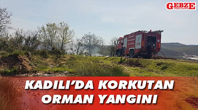 Kadılı'da korkutan orman yangını