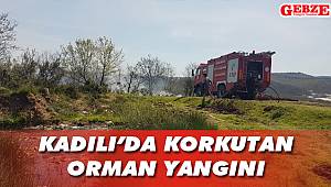Kadılı'da korkutan orman yangını