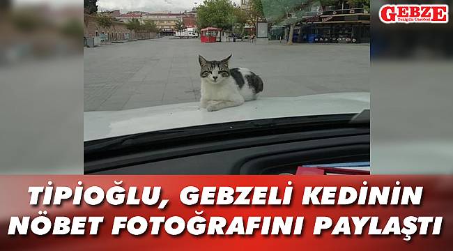 Bu fotoğraf, Tipioğlu’nu mutlu etti