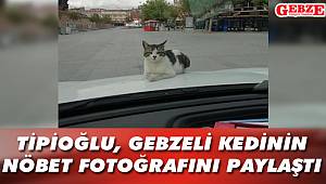 Bu fotoğraf, Tipioğlu’nu mutlu etti