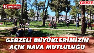 Gebzeli büyüklerimizin açık hava mutluluğu