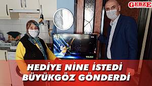 Hediye nine televizyonuna kavuştu