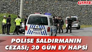 O iki kardeşe 30 gün ev hapsi