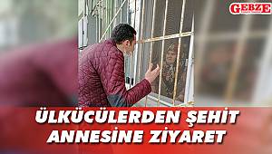 Ülkücülerden şehit annesine ziyaret