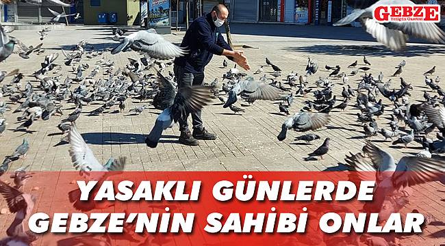 Yasaklı günlerde Gebze’nin sahibi onlar
