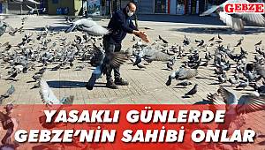 Yasaklı günlerde Gebze’nin sahibi onlar