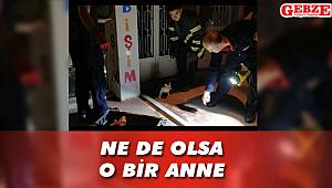 Anne kedi yavrusu kurtarılana kadar başından ayrılmadı