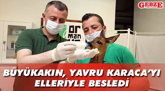 Büyükakın, sevimli dostla yakından ilgilendi