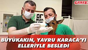 Büyükakın, sevimli dostla yakından ilgilendi