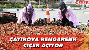 Çayırova rengarenk çiçek açıyor