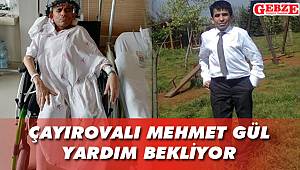 Çayırovalı Mehmet Gül yardım bekliyor