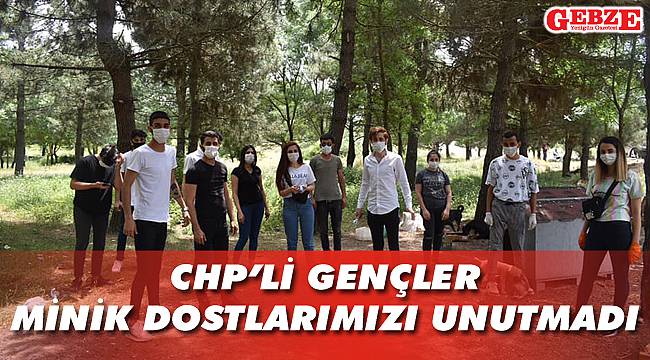 CHP’li gençler minik dostlarımızı unutmadı