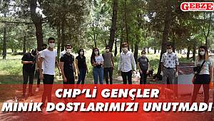 CHP’li gençler minik dostlarımızı unutmadı
