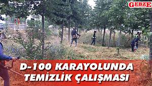 Gebze’de D-100 kenarında temizlik