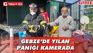 Gebze'de yılan paniği kamerada