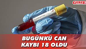 Koronavirüste son durum