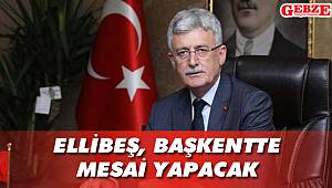 Mehmet Ellibeş, Ankara'ya gitti