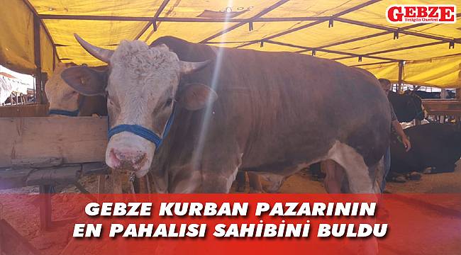 Ağrı'dan geldi, Gebze'de satıldı