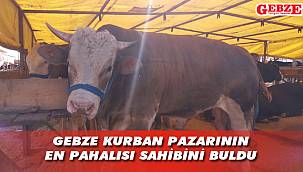 Ağrı'dan geldi, Gebze'de satıldı