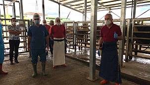 Büyükşehir’den kurban öncesi hijyen dersleri