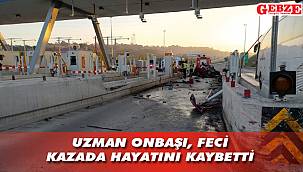 Dilovası'nda feci kaza