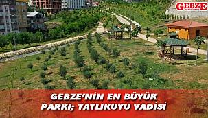 Gebze'nin en büyük parkı; Tatlıkuyu Vadisi