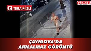 Görenler şaşkına döndü