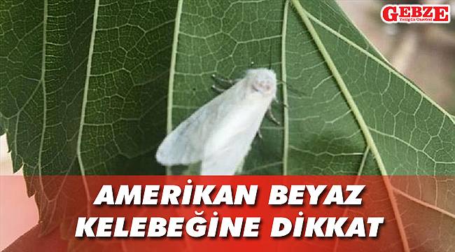 İl Tarım ve Orman Müdürlüğü uyarıyor