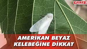 İl Tarım ve Orman Müdürlüğü uyarıyor