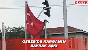 Karganın Türk bayrağına müdahalesi dikkati çekti