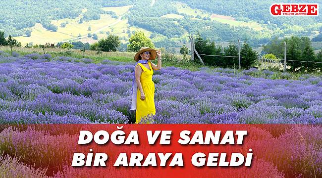 Kocaeli'ndeki lavanta bahçesi görsel şölen sunuyor