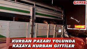 Küçükbaş hayvan taşıyan kamyonet, TIR'a arkadan çarptı
