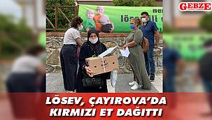 LÖSEV, Çayırova’da kırmızı et dağıttı