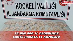 Mollafenari'de sahte para operasyonu 