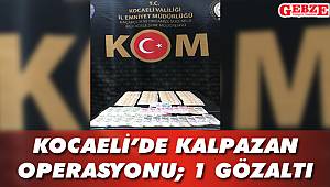 Sahte parayla yakalandı