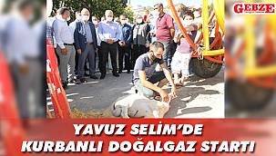 Yavuz Selim'de doğalgaz mutluluğu