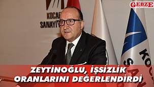 Zeytinoğlu, işsizlik oranlarını değerlendirdi