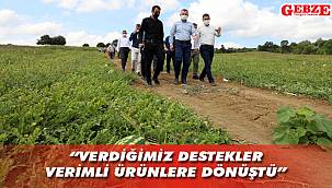 Büyükakın, karpuz hasadına katıldı