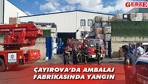 Çayırova’da ambalaj fabrikasında yangın