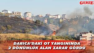 Darıca’da kuru ot yangını