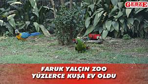 Darıca'daki renkli dünya