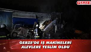 Muallimköy'deki yangın panik yarattı