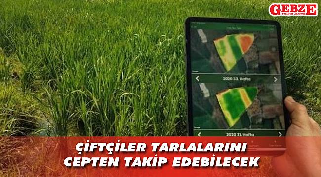 Tarımda TARKİP dönemi