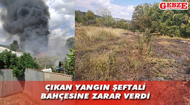 Tavşanlı’yı korkutan yangın